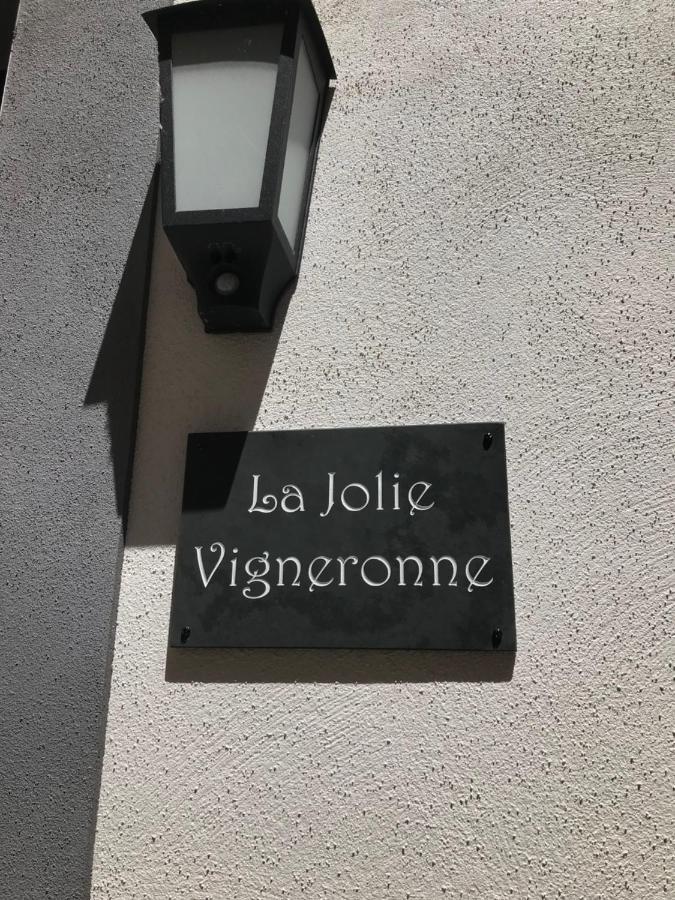 Willa La Jolie Vigneronne Marseillan  Zewnętrze zdjęcie